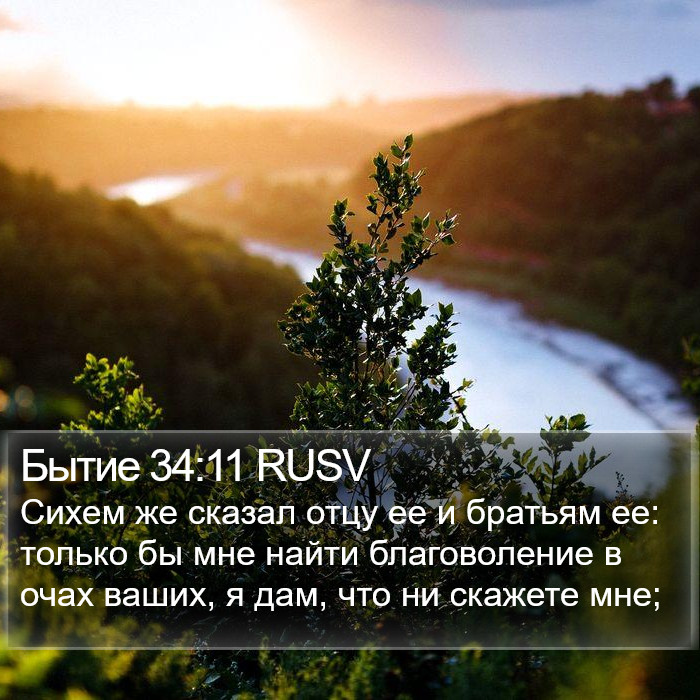 Бытие 34:11 RUSV Bible Study