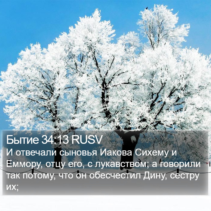 Бытие 34:13 RUSV Bible Study