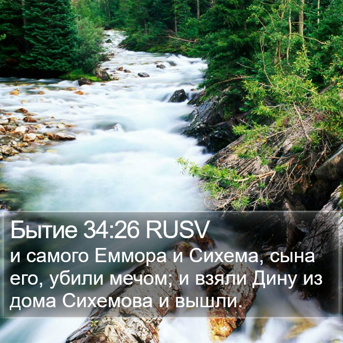 Бытие 34:26 RUSV Bible Study