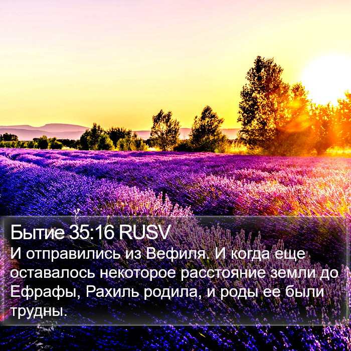 Бытие 35:16 RUSV Bible Study