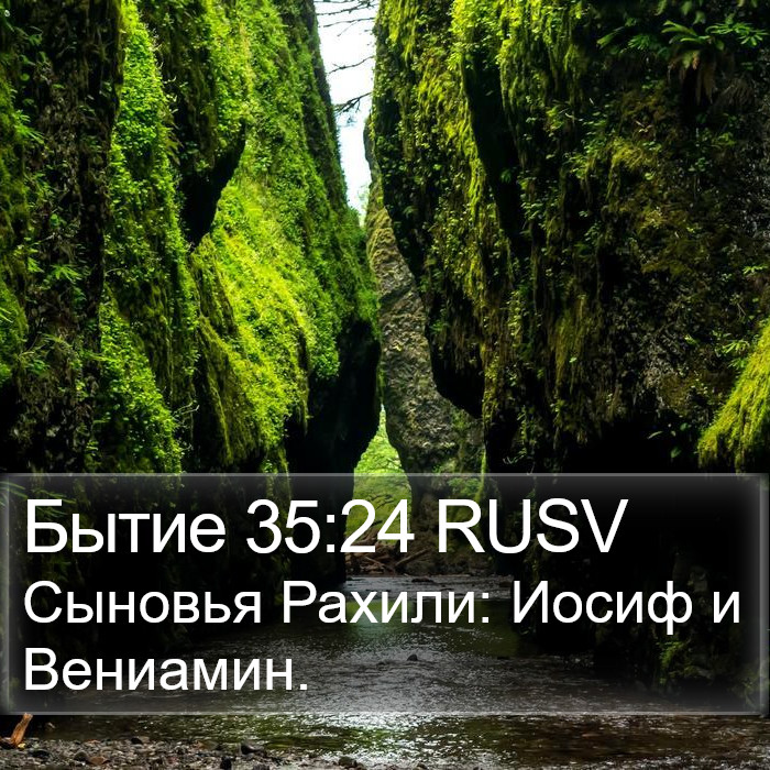 Бытие 35:24 RUSV Bible Study