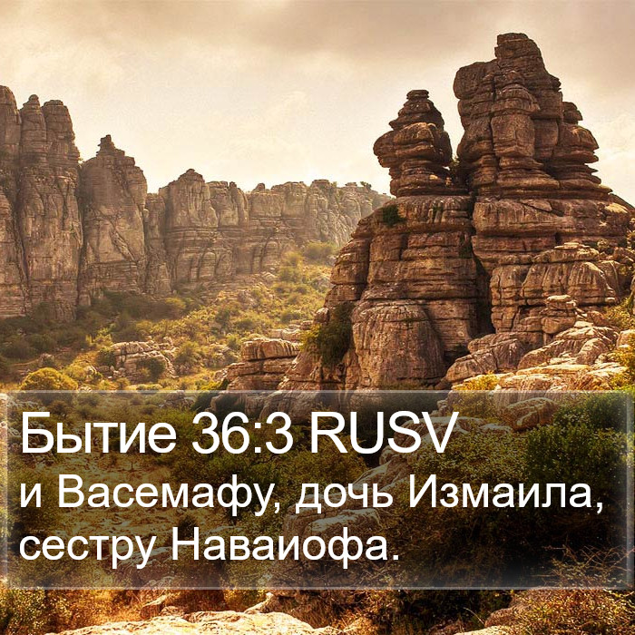 Бытие 36:3 RUSV Bible Study