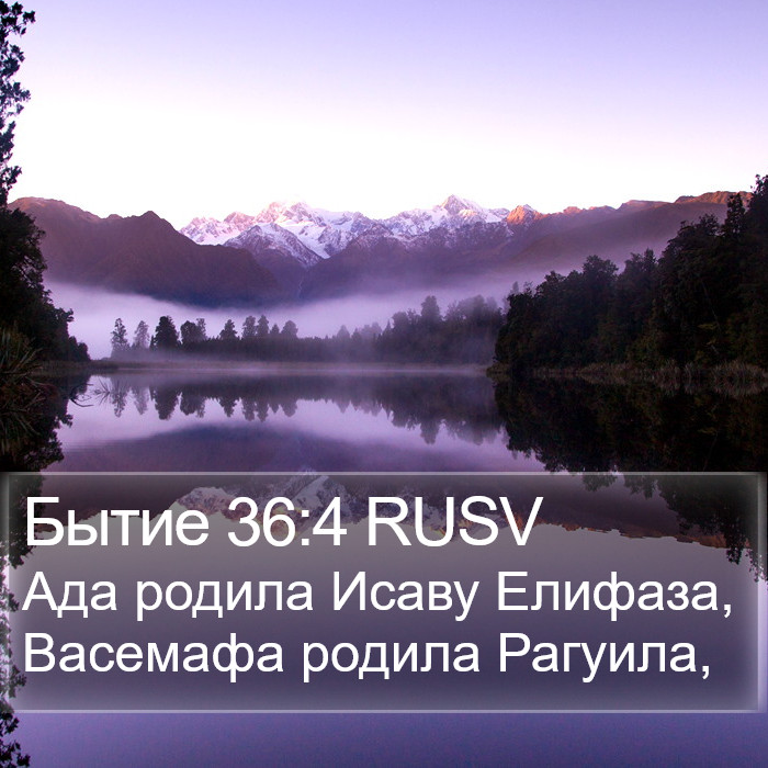 Бытие 36:4 RUSV Bible Study
