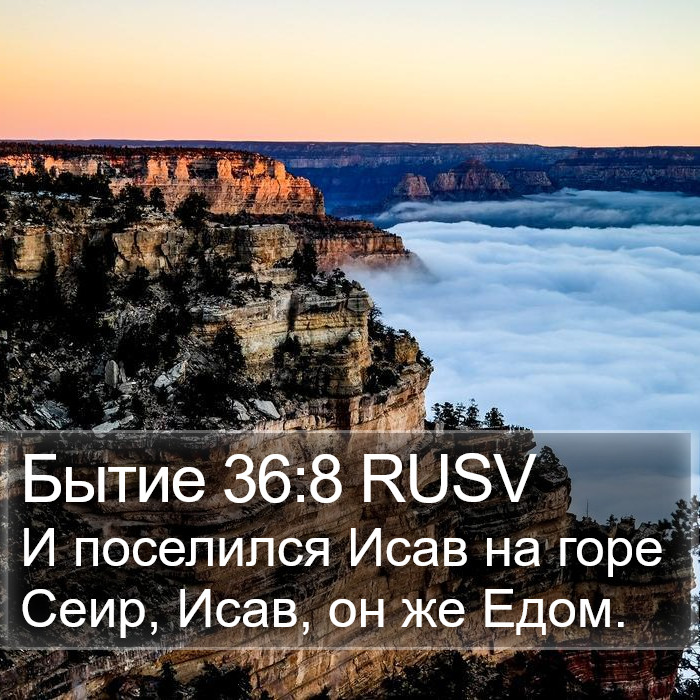 Бытие 36:8 RUSV Bible Study