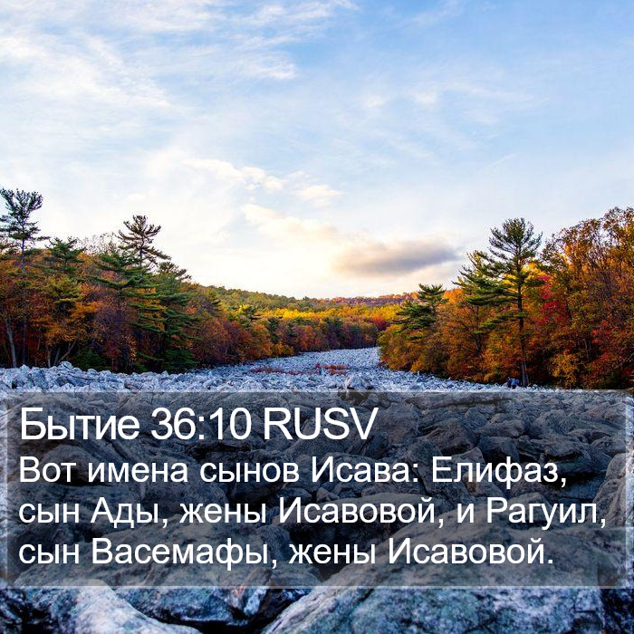 Бытие 36:10 RUSV Bible Study