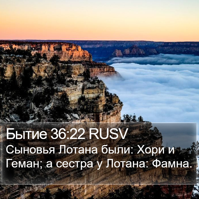 Бытие 36:22 RUSV Bible Study