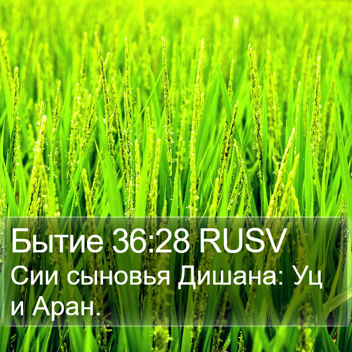 Бытие 36:28 RUSV Bible Study