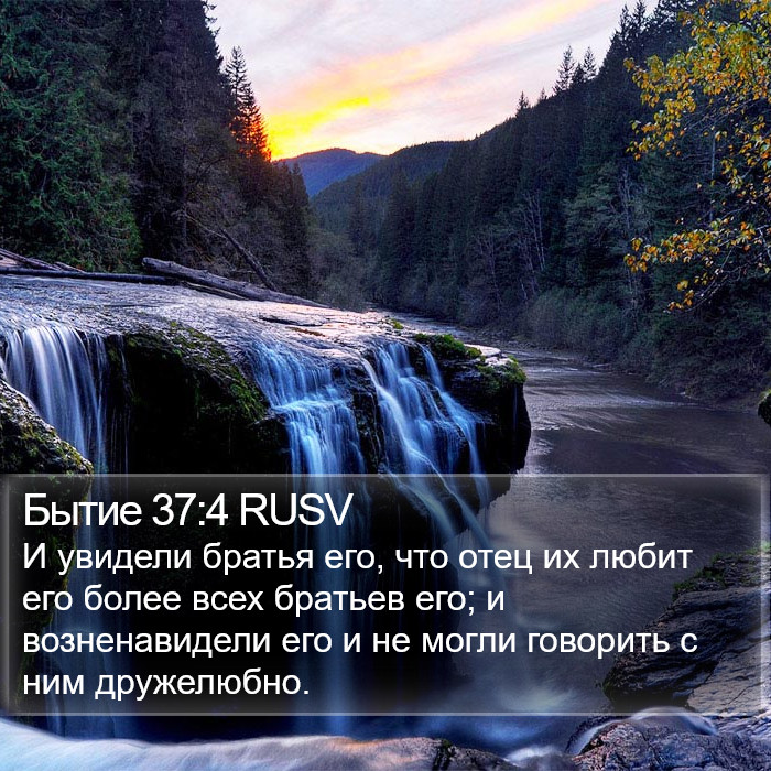 Бытие 37:4 RUSV Bible Study