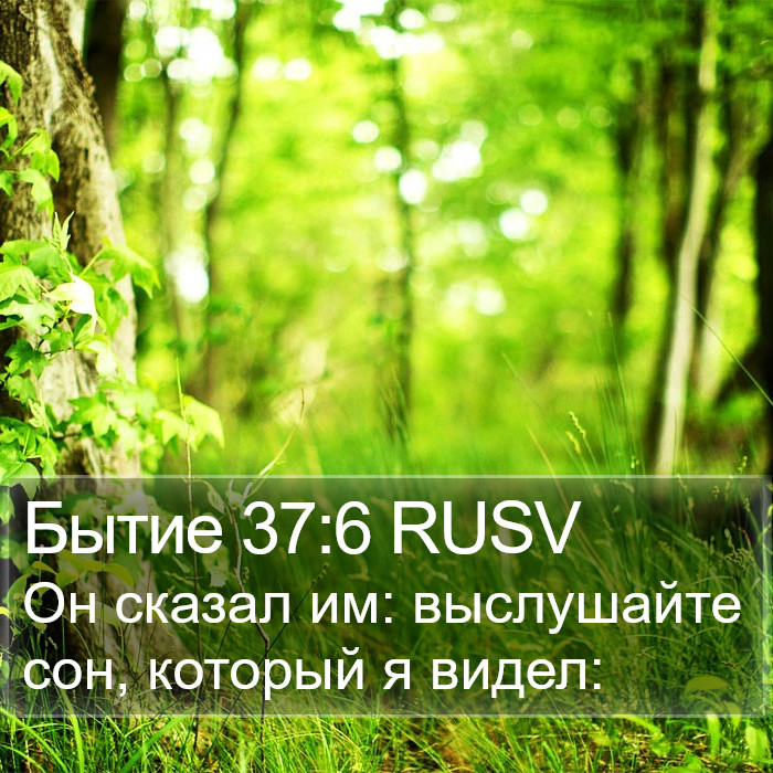 Бытие 37:6 RUSV Bible Study