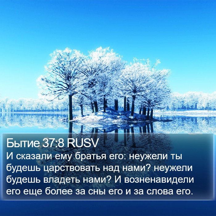 Бытие 37:8 RUSV Bible Study