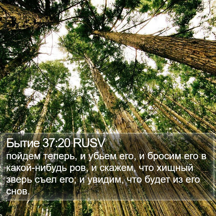 Бытие 37:20 RUSV Bible Study
