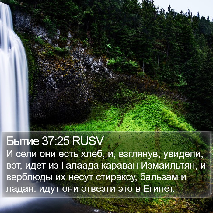 Бытие 37:25 RUSV Bible Study