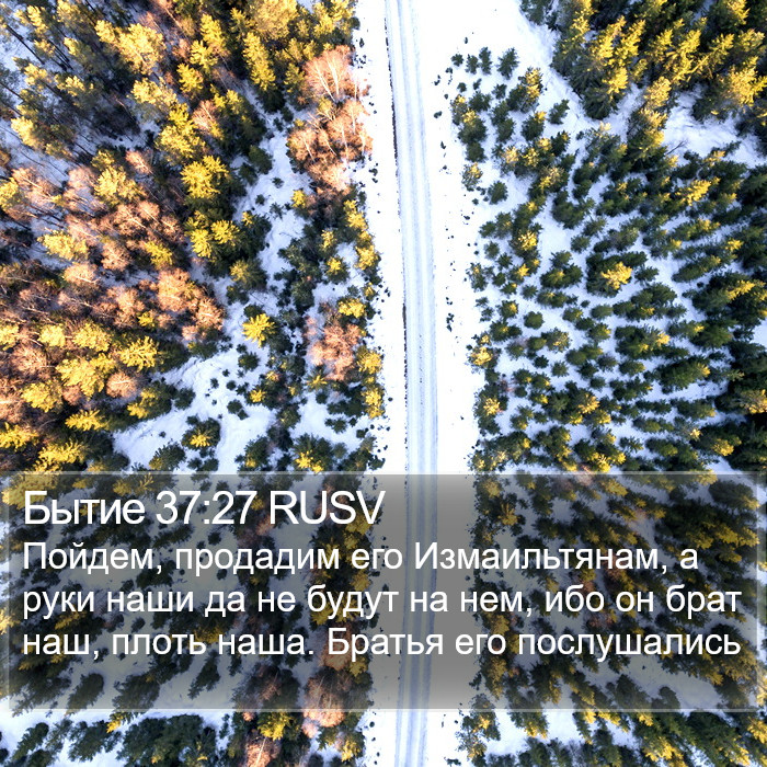 Бытие 37:27 RUSV Bible Study