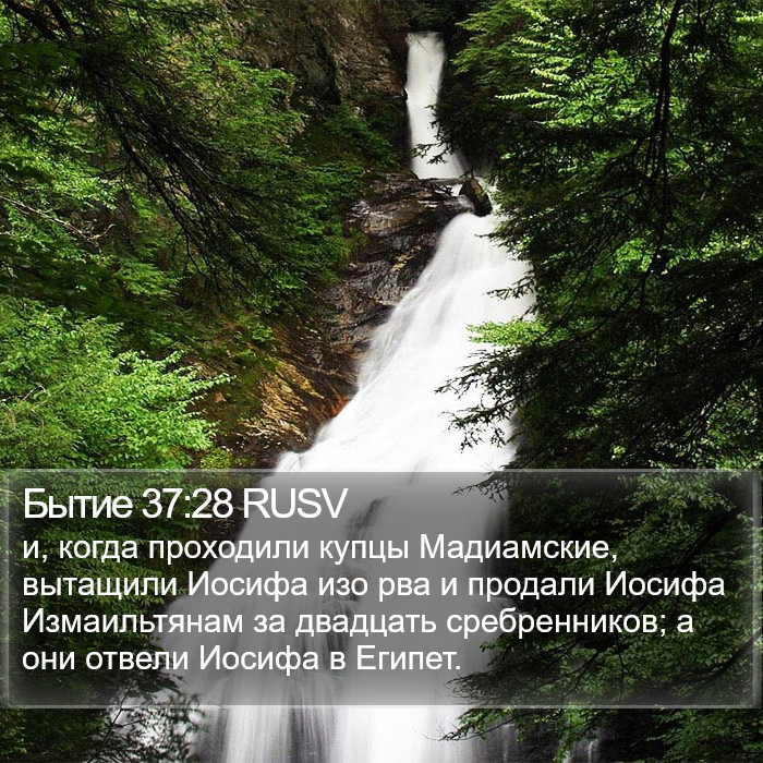 Бытие 37:28 RUSV Bible Study