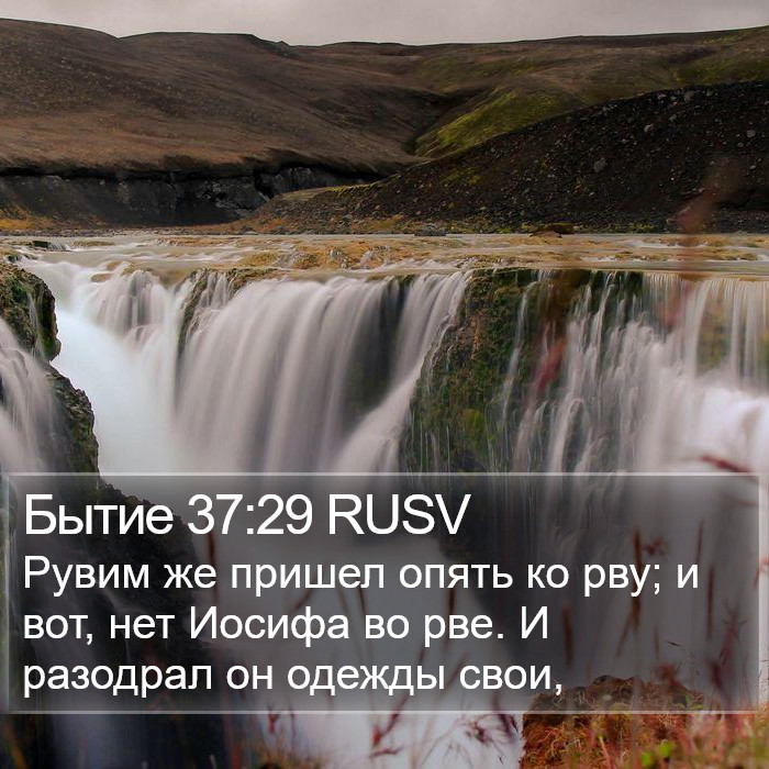 Бытие 37:29 RUSV Bible Study
