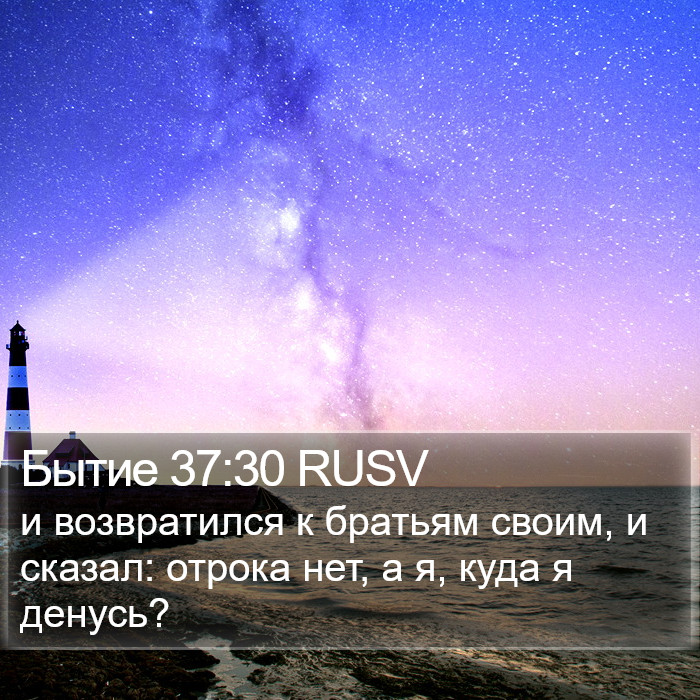Бытие 37:30 RUSV Bible Study