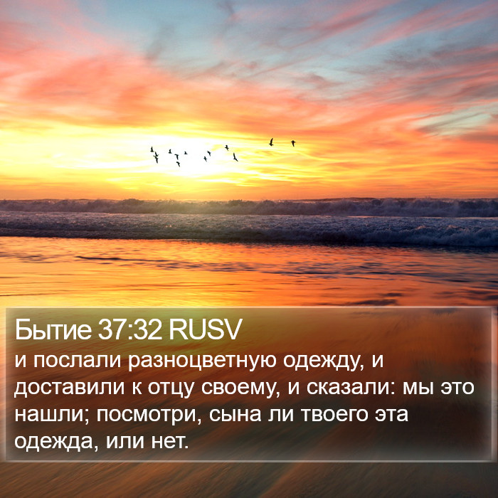 Бытие 37:32 RUSV Bible Study