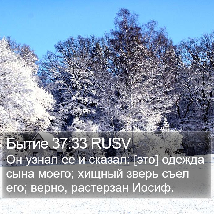 Бытие 37:33 RUSV Bible Study