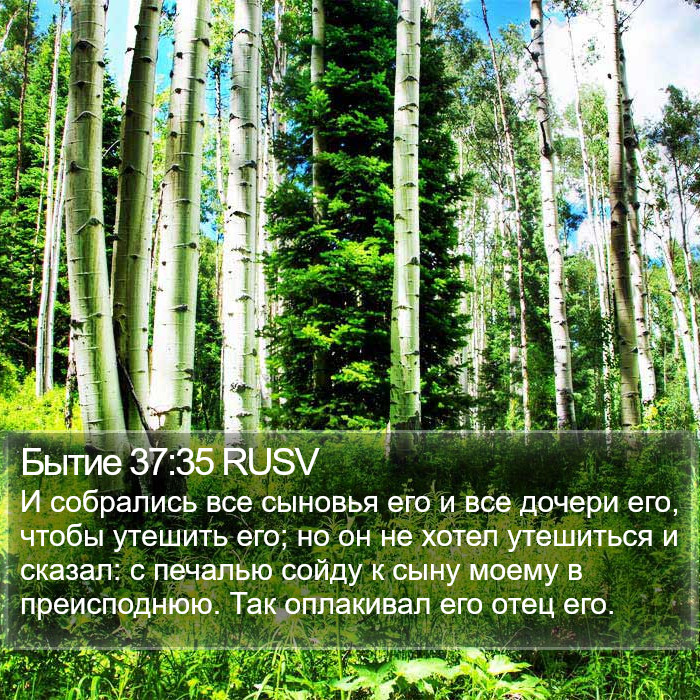 Бытие 37:35 RUSV Bible Study