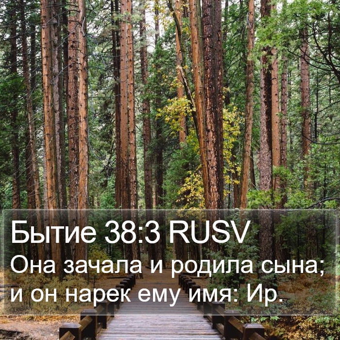 Бытие 38:3 RUSV Bible Study