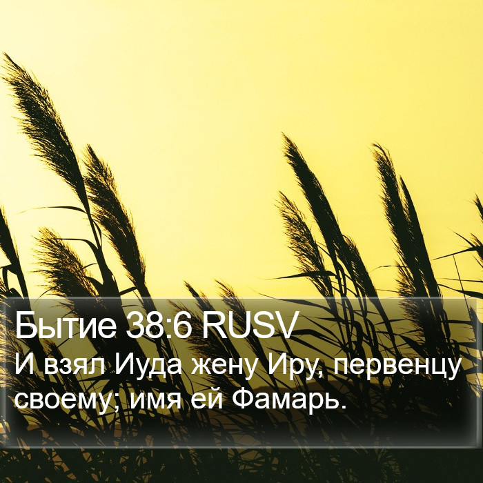 Бытие 38:6 RUSV Bible Study