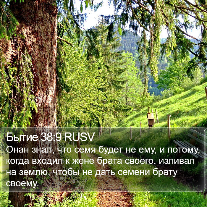 Бытие 38:9 RUSV Bible Study