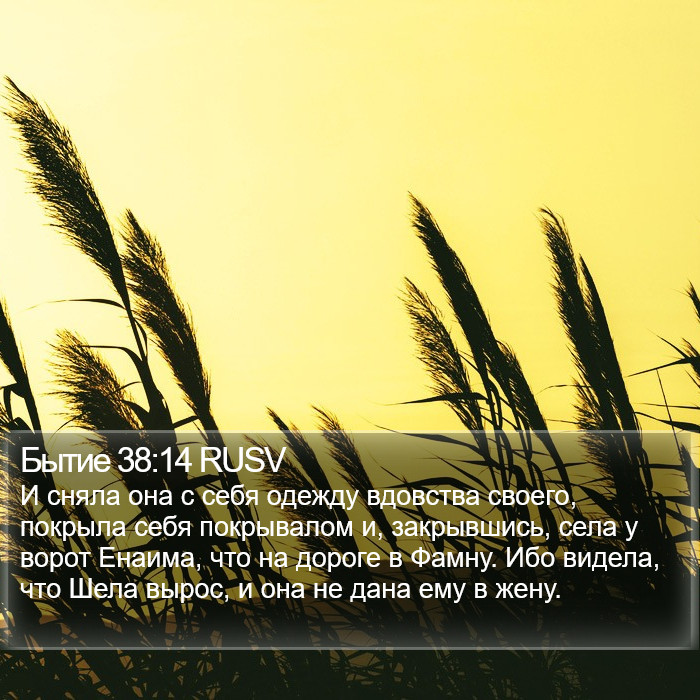 Бытие 38:14 RUSV Bible Study