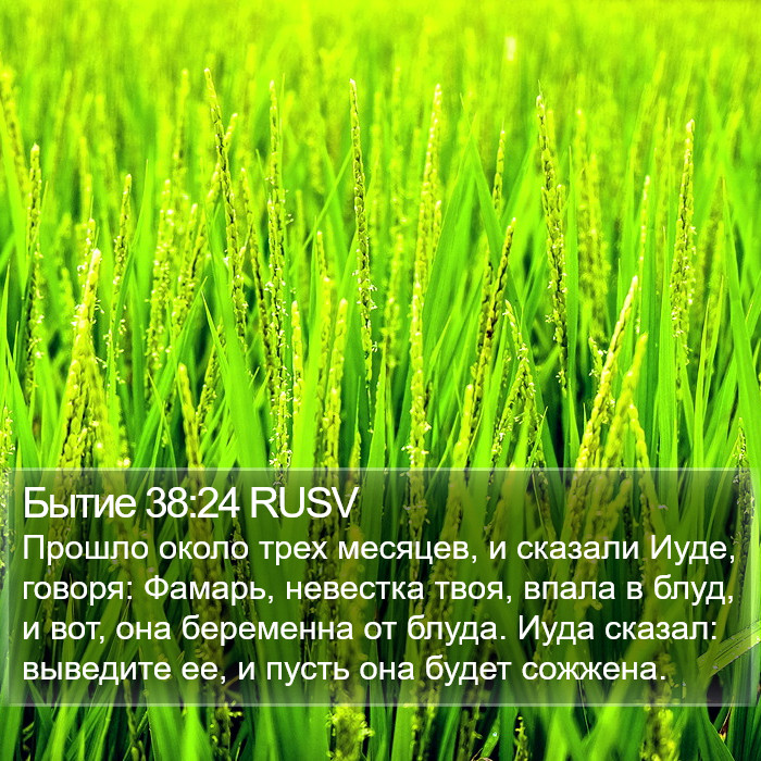 Бытие 38:24 RUSV Bible Study
