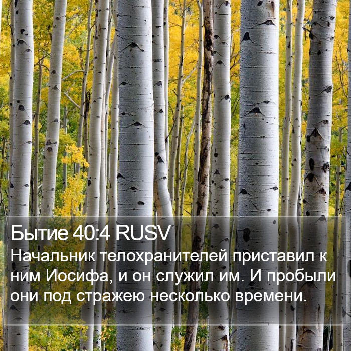 Бытие 40:4 RUSV Bible Study