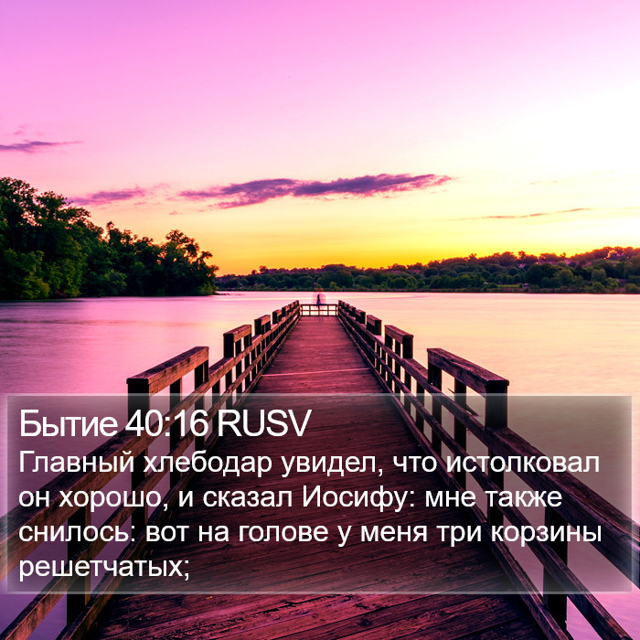 Бытие 40:16 RUSV Bible Study