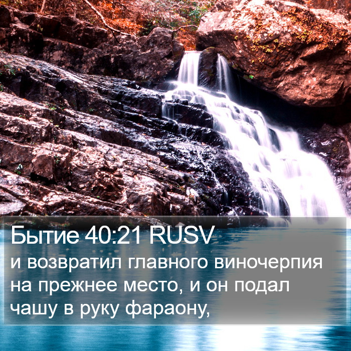 Бытие 40:21 RUSV Bible Study