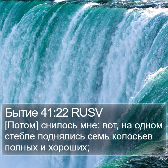Бытие 41:22 RUSV Bible Study