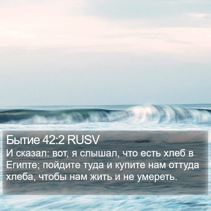 Бытие 42:2 RUSV Bible Study