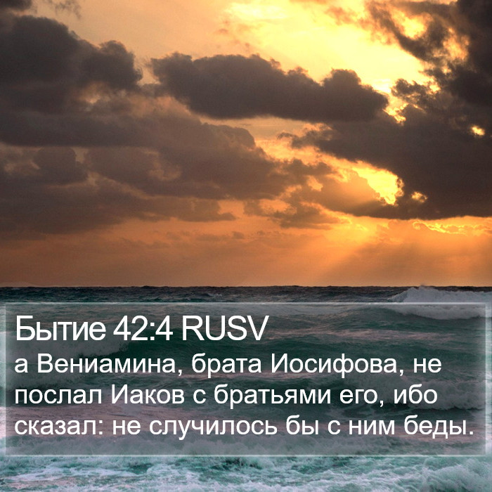 Бытие 42:4 RUSV Bible Study