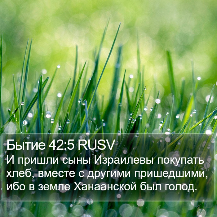 Бытие 42:5 RUSV Bible Study