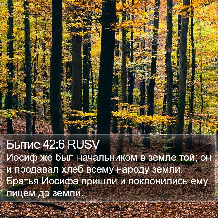 Бытие 42:6 RUSV Bible Study