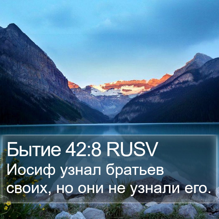 Бытие 42:8 RUSV Bible Study