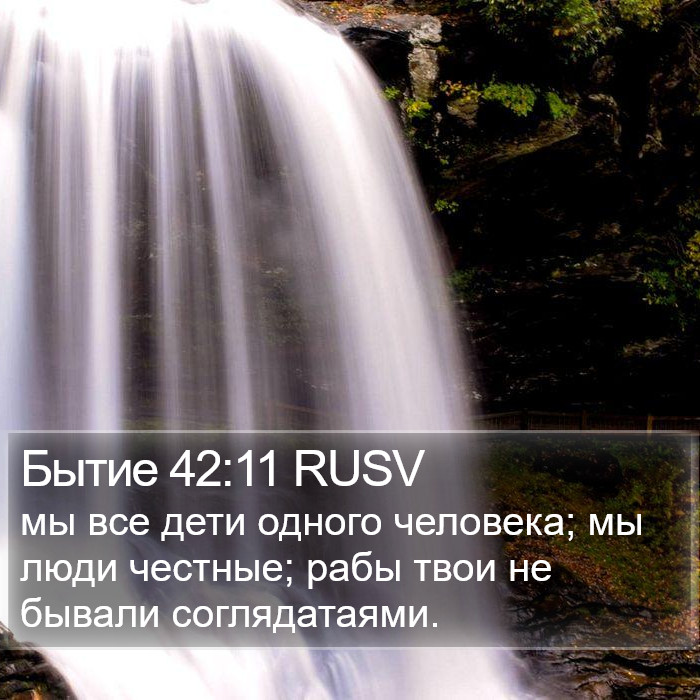 Бытие 42:11 RUSV Bible Study