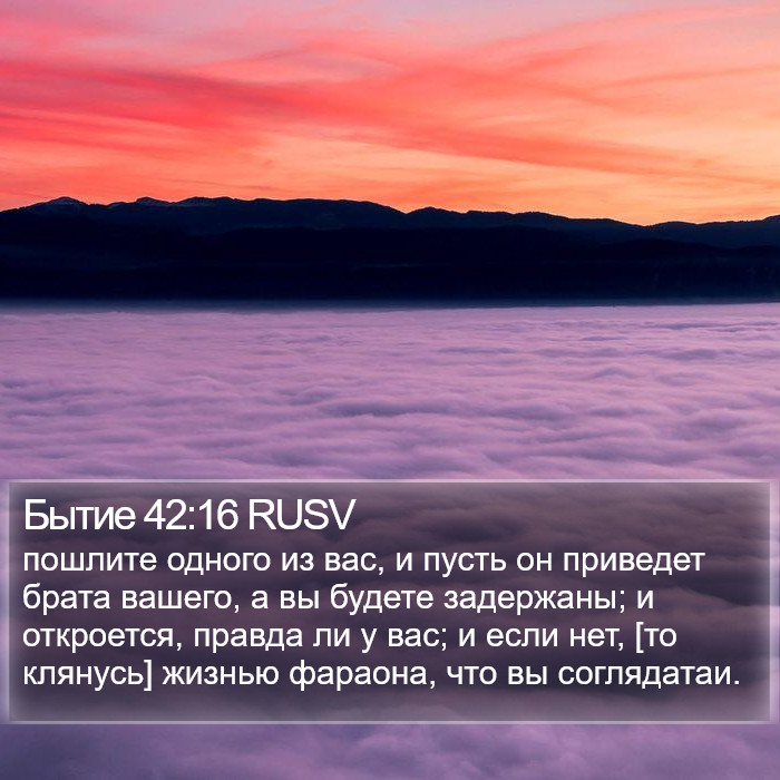 Бытие 42:16 RUSV Bible Study