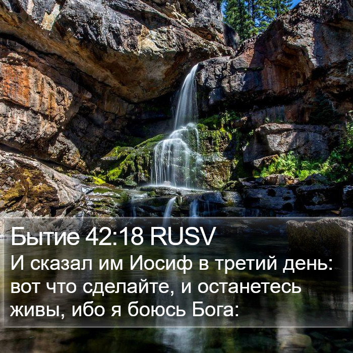 Бытие 42:18 RUSV Bible Study