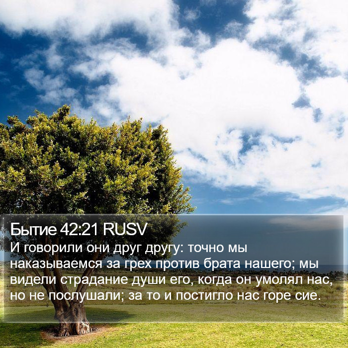 Бытие 42:21 RUSV Bible Study