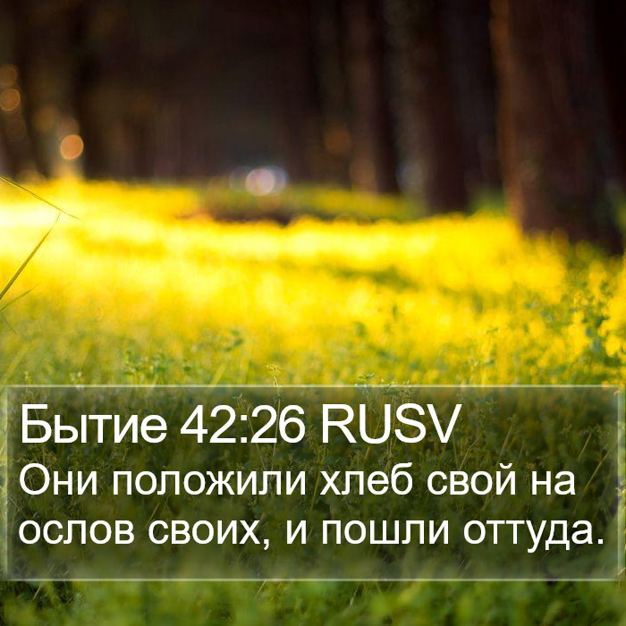 Бытие 42:26 RUSV Bible Study