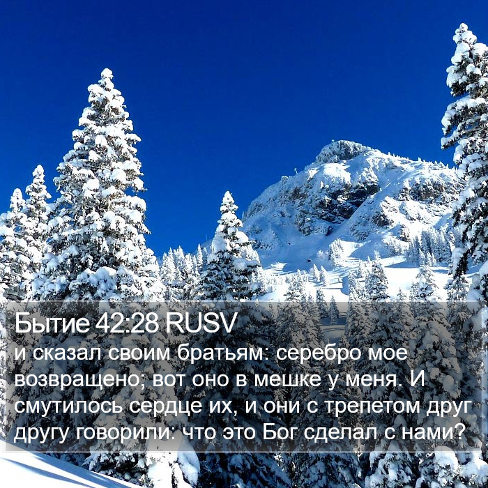 Бытие 42:28 RUSV Bible Study