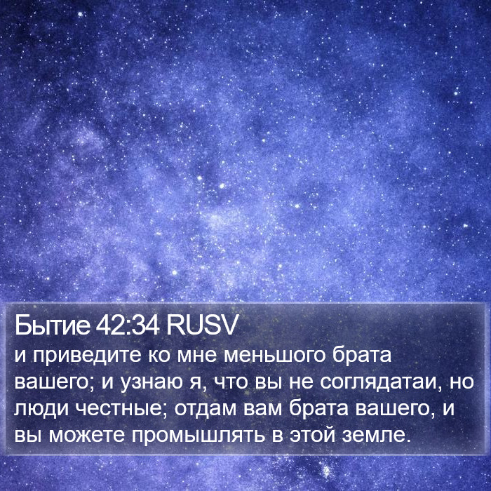 Бытие 42:34 RUSV Bible Study