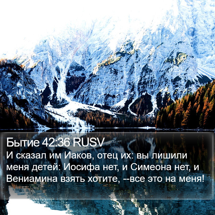 Бытие 42:36 RUSV Bible Study