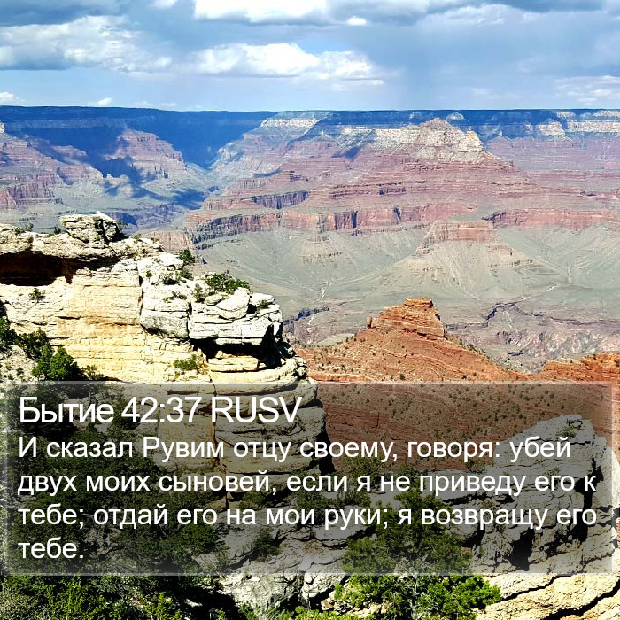 Бытие 42:37 RUSV Bible Study