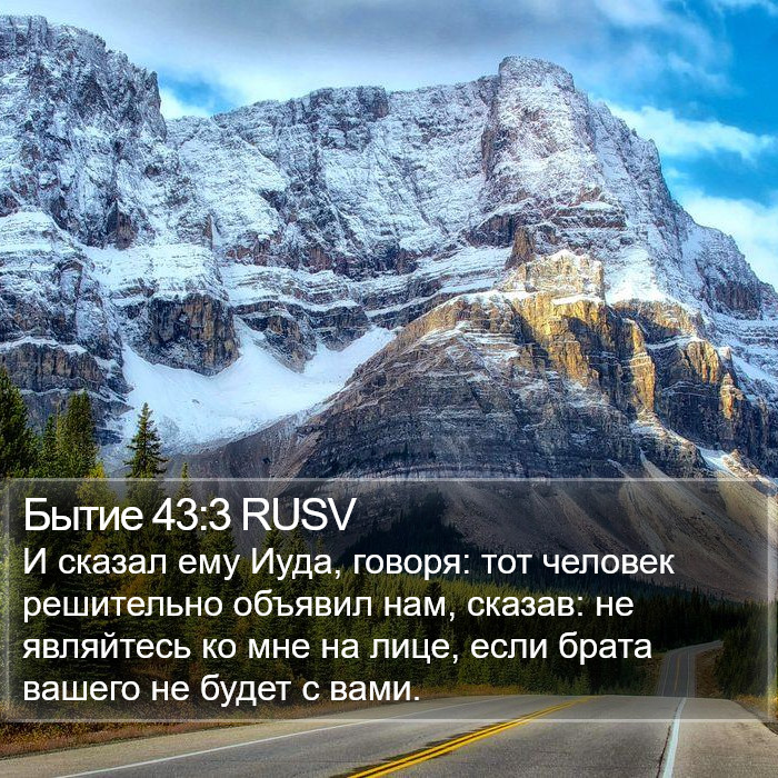 Бытие 43:3 RUSV Bible Study