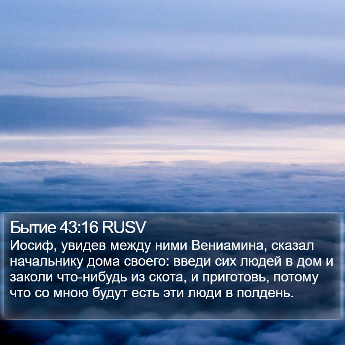 Бытие 43:16 RUSV Bible Study