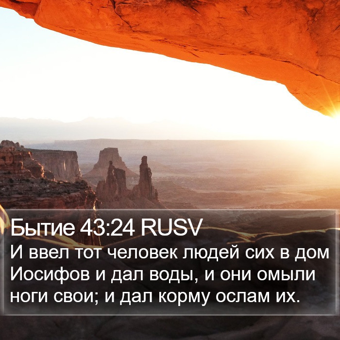 Бытие 43:24 RUSV Bible Study