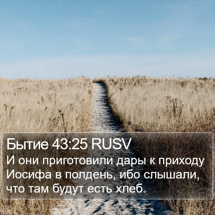Бытие 43:25 RUSV Bible Study